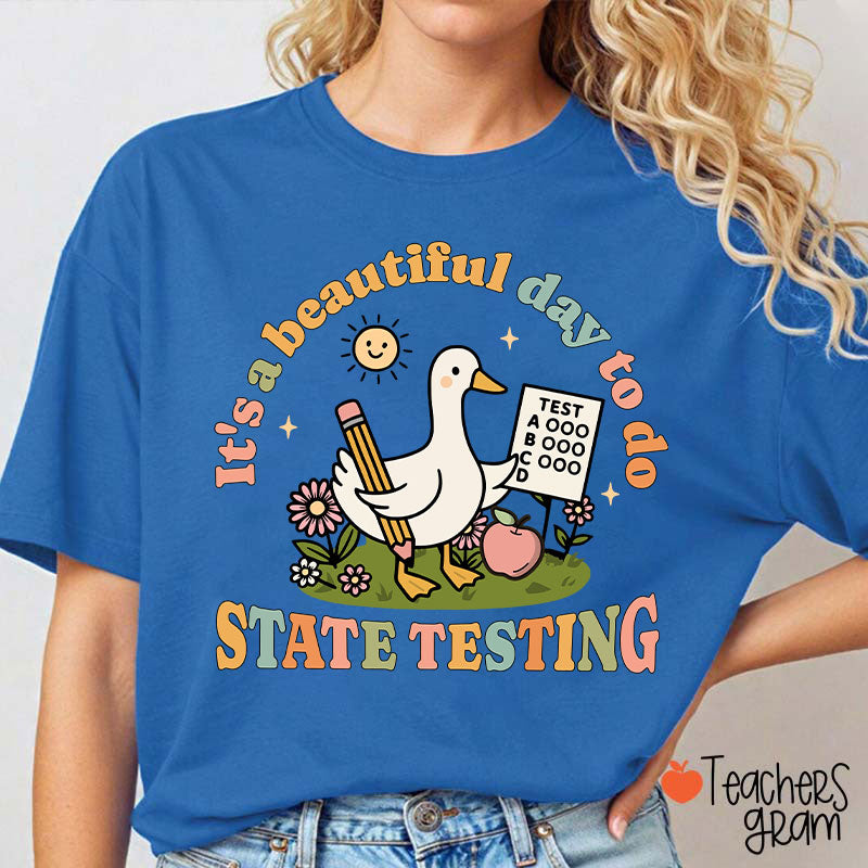 It's A Beautiful Day To Do State Testing Teacher T-Shirt