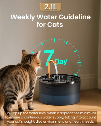 2.1L Silent Cat Water Fountain with 6-Layer Filtration, Blue LED Light & Ultra-Quiet Copper Spout